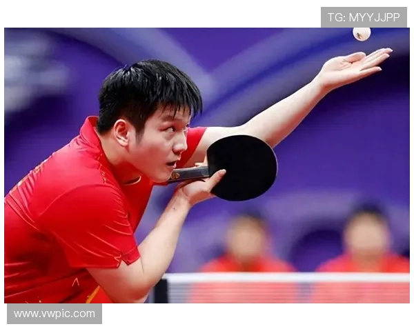 南京乒乓球队在全国耐力排行榜中荣获第五名的佳绩引发关注 南京乒乓球队在全国耐力排行榜中荣获第五名的佳绩引发关注