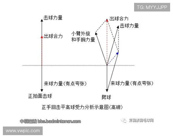 北京羽毛球队总决赛技术分析与表现评估全面解读 北京羽毛球队总决赛技术分析与表现评估全面解读