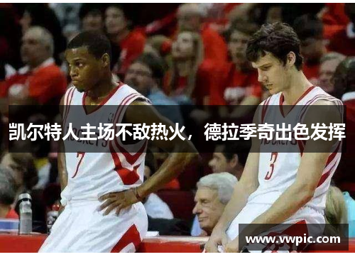 凯尔特人主场不敌热火，德拉季奇出色发挥