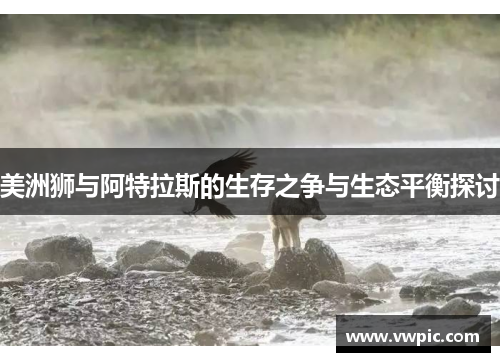 美洲狮与阿特拉斯的生存之争与生态平衡探讨