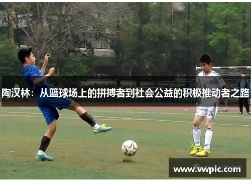 陶汉林：从篮球场上的拼搏者到社会公益的积极推动者之路